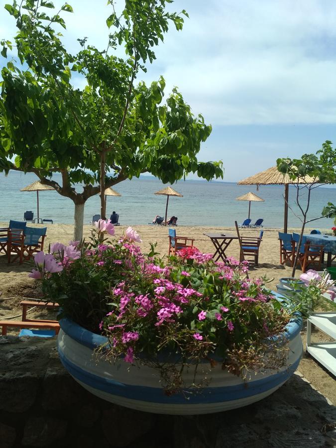 Paschalia View Apartment *
